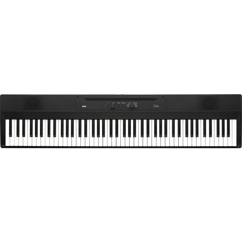 KORG L1SP Liano �ǥ�����ԥ��� X����������դ��ҥ��륰��