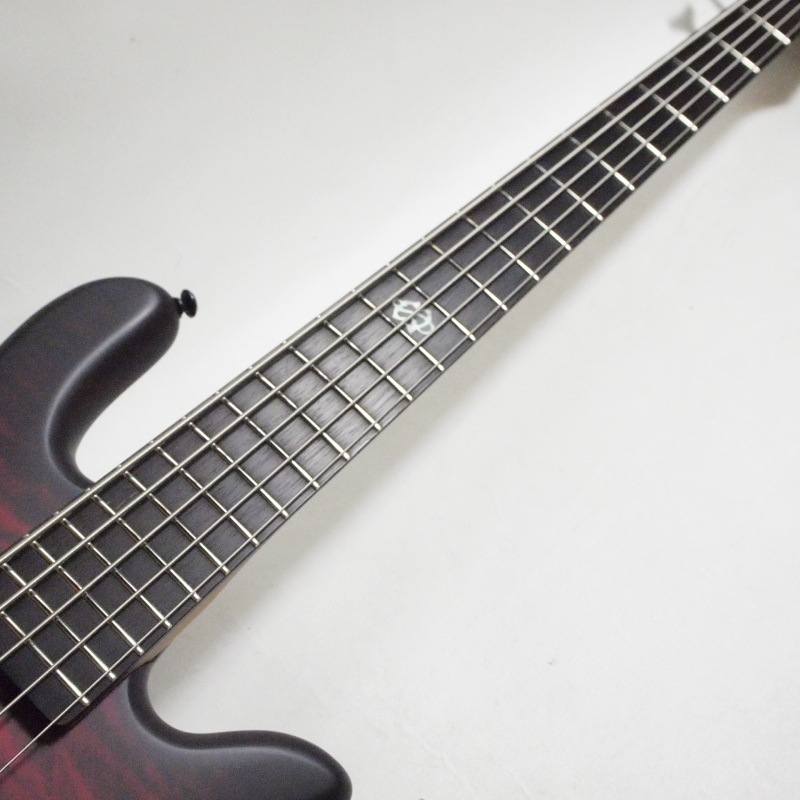 SPECTOR NS Pulse 5 II Black Cherry Matte 5쥭١ҥڥ 4.31kg