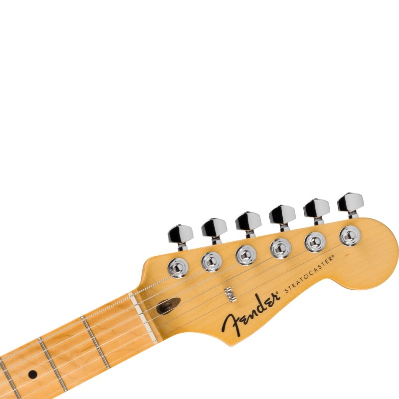 Fender Standard Stratocaster, Maple Fingerboard, White Pickguard, Candy Cola�ҥե���������ȥ�ȥ��㥹������