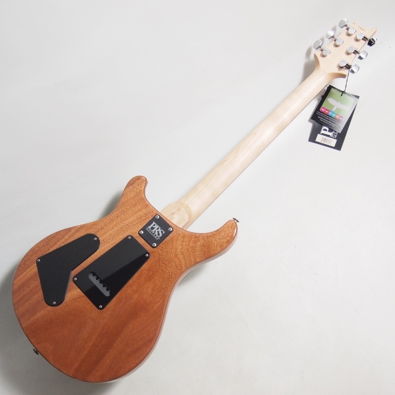PRS CE 24 ER Eriza Verde ���쥭������ 2022ǯ��ǥ��S/N 0346862/3.46kg�ӡ�Paul Reed Smith/�ݡ���꡼�ɥ��ߥ���