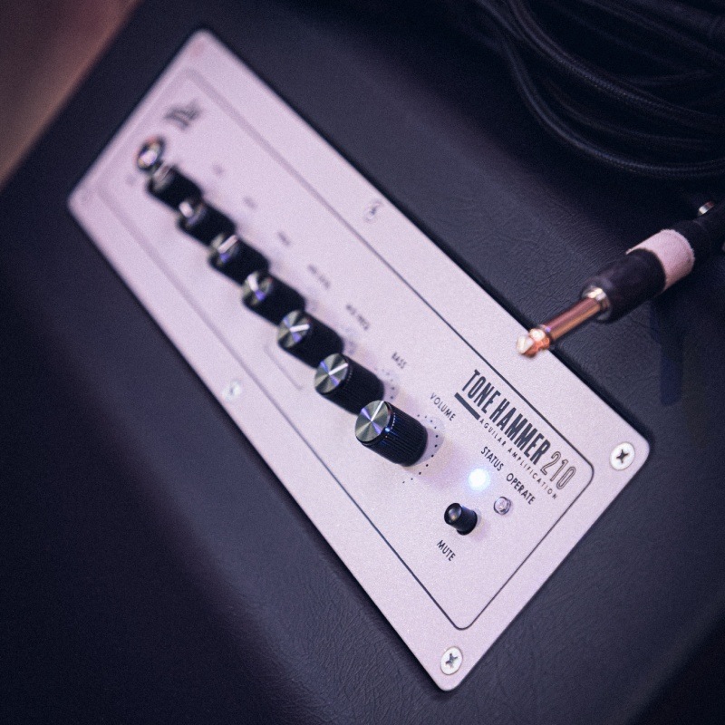 aguilar Tone Hammer 210 Combo �١�������� ������顼
