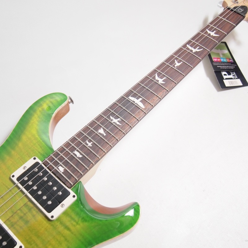 PRS CE 24 ER Eriza Verde ���쥭������ 2022ǯ��ǥ��S/N 0346862/3.46kg�ӡ�Paul Reed Smith/�ݡ���꡼�ɥ��ߥ���