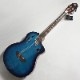 Ortega RTPDLX-FMA TOURPLAYER 쥬åȡҥƥ