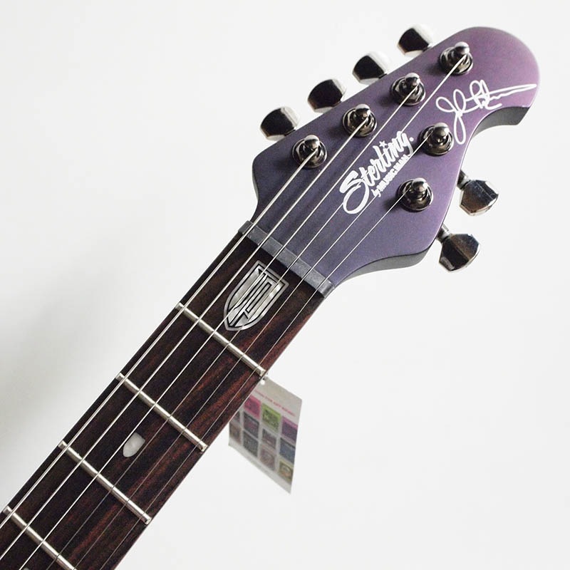 Sterling by MUSICMAN MAJESTY MAJ100 Arctic Dream ����󡦥ڥȥ롼���������ͥ��㡼�ҥߥ塼���å��ޥ� ����������