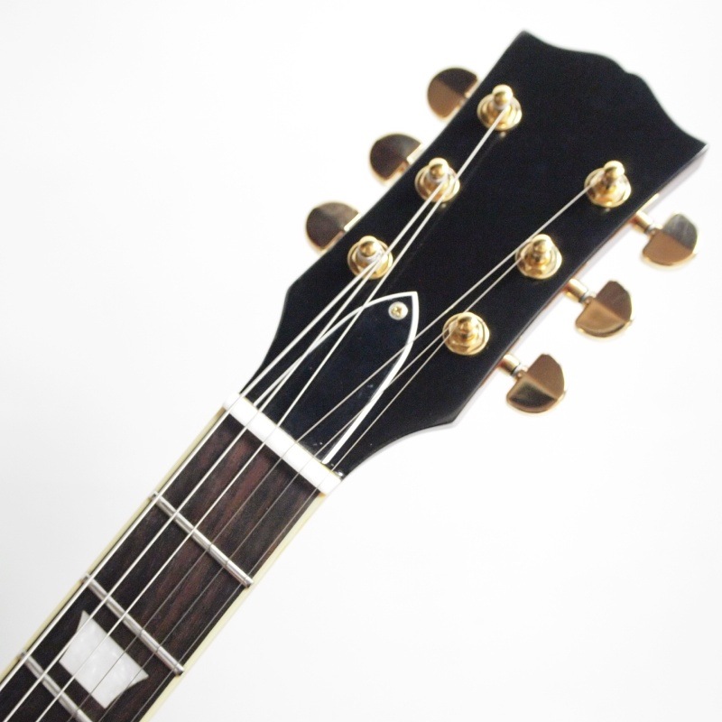 LGuitars LG-LPS-JP/AG エレキギター〈エルジーギター〉 | Electric