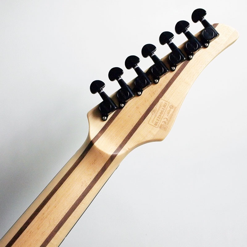 Progaurge by SCHECTER PS-600 7弦 ギター（Schecter 7 String