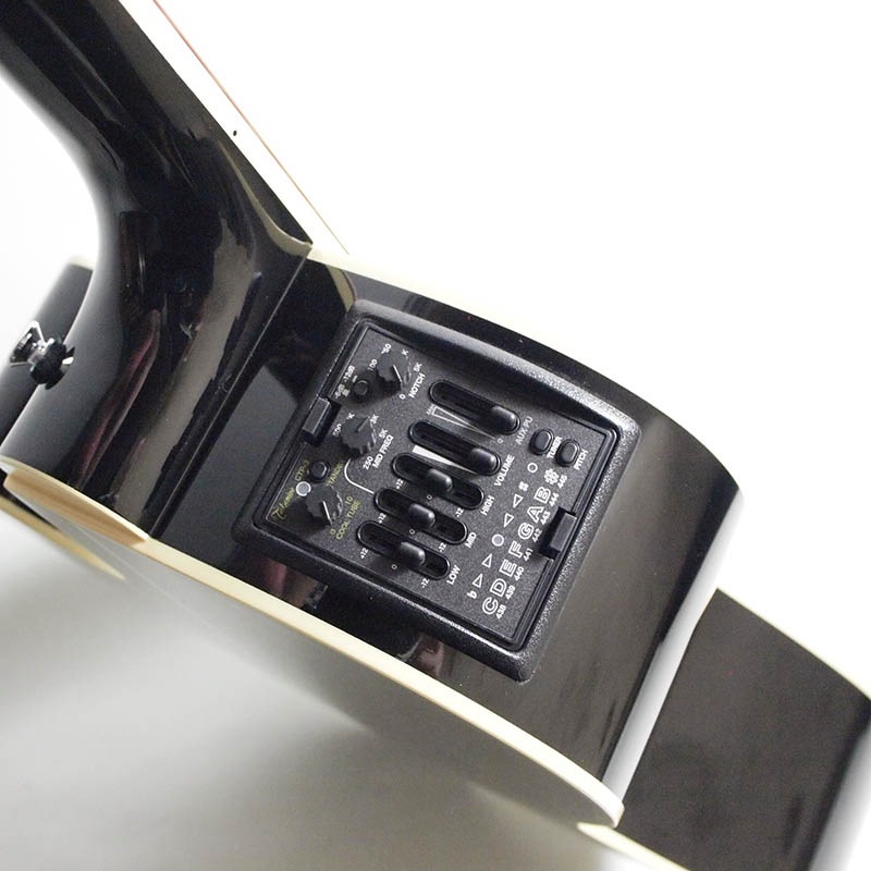 Takamine/���쥢��500���꡼�� TDP561C BL�ڥ����ߥ͡�