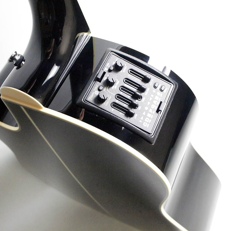 別製　TAKAMINE ( タカミネ ) TDP861C CYS TAKAMINE ( タカミネ ) TDP861C BL 送料無料 | サウンドハウス