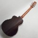 aNueNue aNN-M200E BirdGuitar ߥ˥쥢 ߥ˥ҥ̥̥