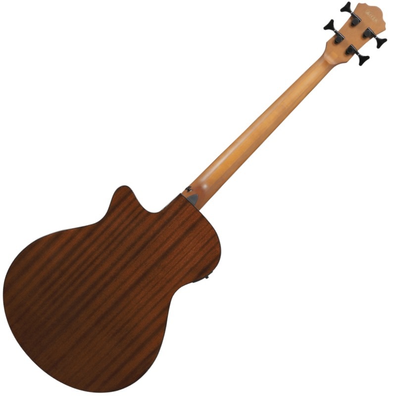 Ibanez AEGB25E-TKH 쥢١ҥХˡ