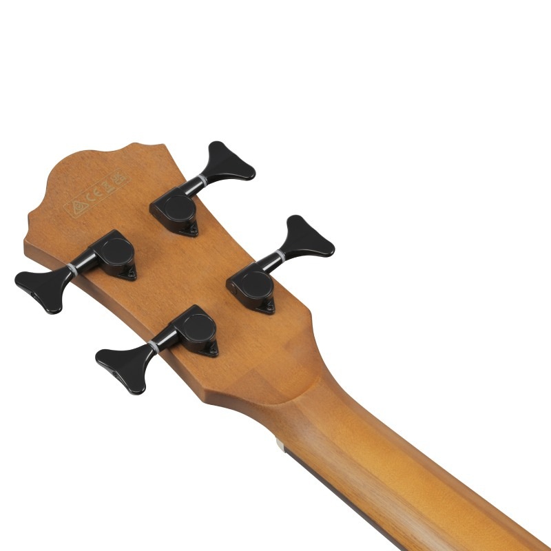 Ibanez AEGB25E-TKH 쥢١ҥХˡ
