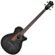 Ibanez AEGB25E-TKH 쥢١ҥХˡ