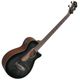 Ibanez AEGB25E-TKH 쥢١ҥХˡ