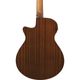 Ibanez AEGB25E-TKH 쥢١ҥХˡ