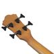 Ibanez AEGB25E-TKH 쥢١ҥХˡ