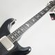 PRS SE Hollowbody Standard Dog Hair Smokeburst 2025 ���쥭������ 2.67kg�ҥݡ���꡼�ɥ��ߥ���