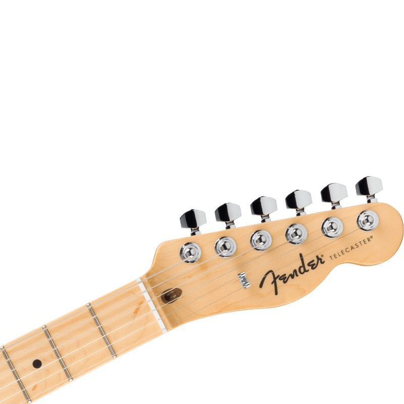 Fender Standard Telecaster, Maple Fingerboard, Black Pickguard, Butterscotch Blonde�ҥե�������ƥ쥭�㥹������