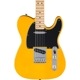 Fender Standard Telecaster, Maple Fingerboard, Black Pickguard, Butterscotch Blonde�ҥե�������ƥ쥭�㥹������