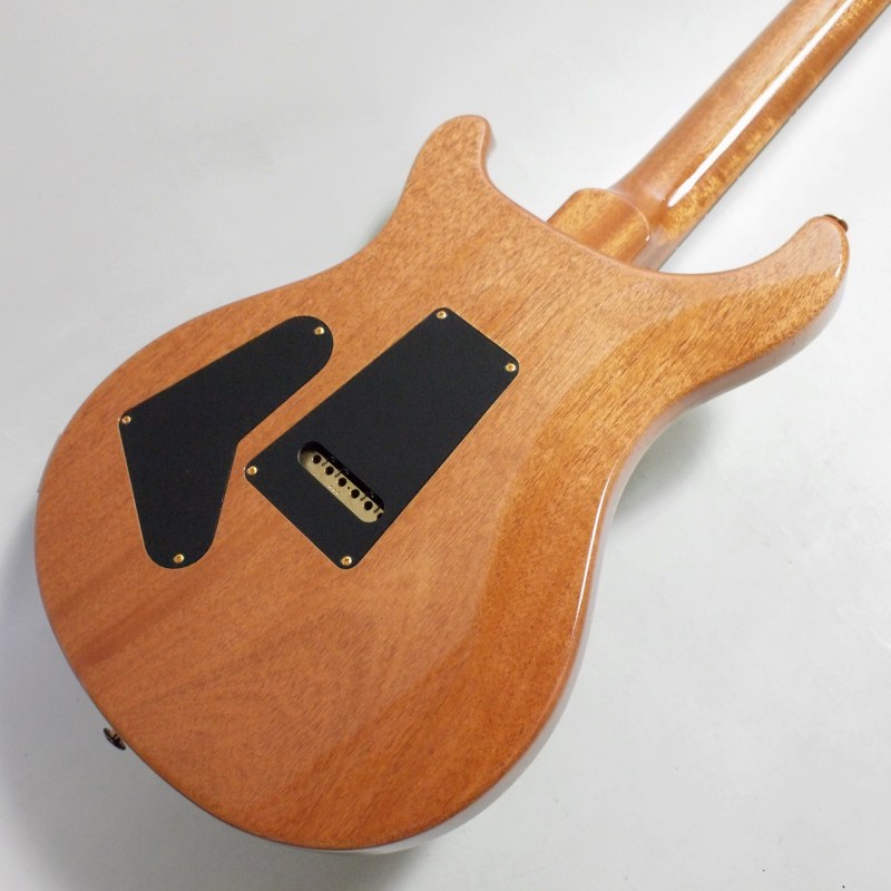 PRS Custom 24 ER Eriza Verde #0346056 3.52kg 22ǯ��ǥ��Paul Reed Smith Guitar/�ݡ���꡼�ɥ��ߥ���