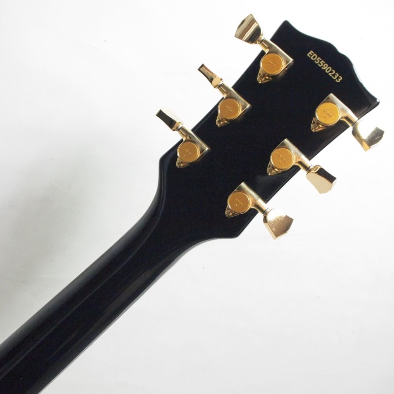 EDWARDS E-LP-CTM BK ���쥭�������ҥ��ɥ����