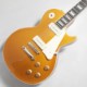 EDWARDS E-LP-STD/P Gold Top ���쥭�������ҥ��ɥ����