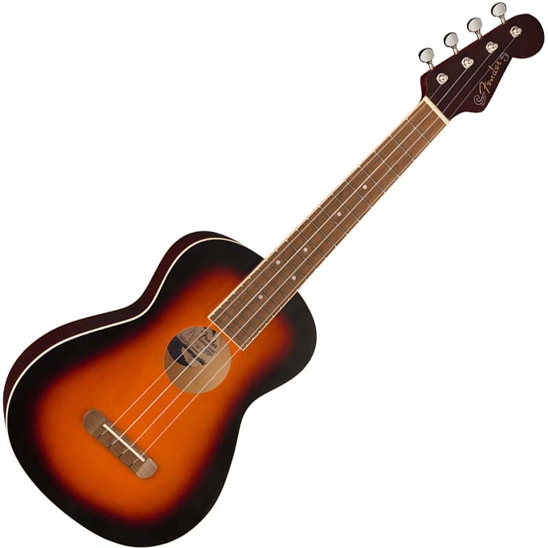 楽器・機材 Fender アコースティックギター Model AVALON Ⅱ フェンダー