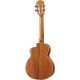 aNueNue aNN-UT5K Ten Hawaiian Koa-Bird Ukulele 5A �ƥʡ��������ڥ��̥��̥���