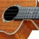 aNueNue aNN-UC5K Con Hawaiian Koa-Bird Ukulele 5A ���󥵡��ȥ������ڥ��̥��̥���