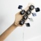 Sterling by Music Man SUB RAY5-BK-M1 SUB STINGRAY RAY5 BLACK 5�����쥭�١���