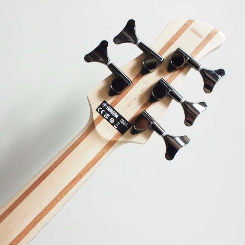 YAMAHA TRBX605FM IDB ����ǥ����֥롼 5�����쥭�١����ҥ�ޥϡ�