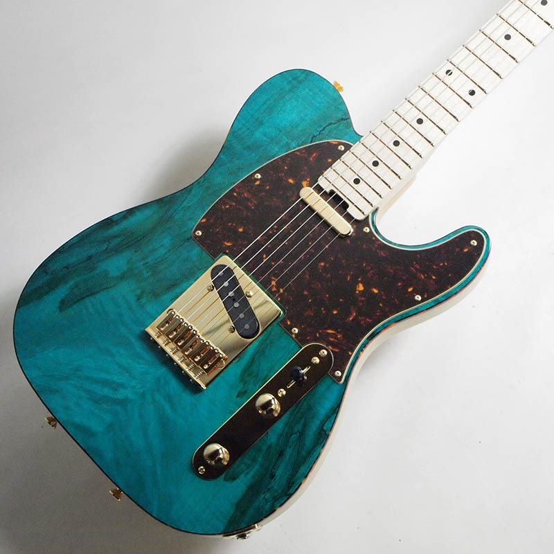 SCHECTER/エレキ PS-PT-SP/OGR/M OGR(Ocean Green)【シェクター