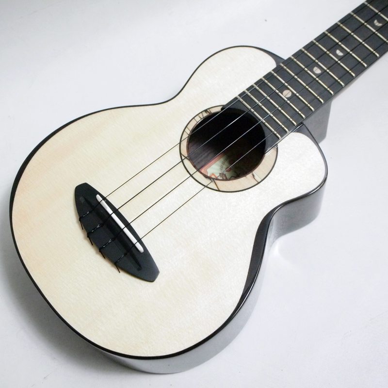 aNueNue aNN-US200 ���ץ�Υ������ҥ��̥��̥���