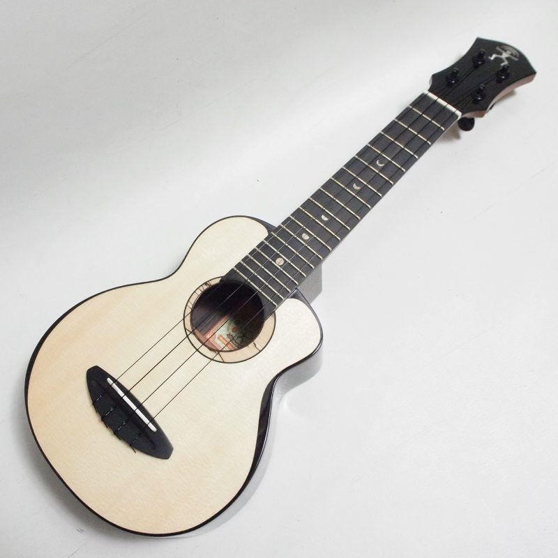 aNueNue aNN-US200 ���ץ�Υ������ҥ��̥��̥���