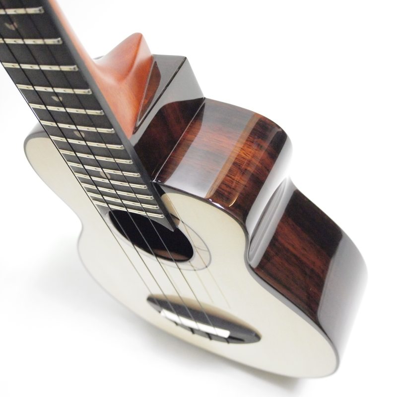 aNueNue aNN-US200 ���ץ�Υ������ҥ��̥��̥���