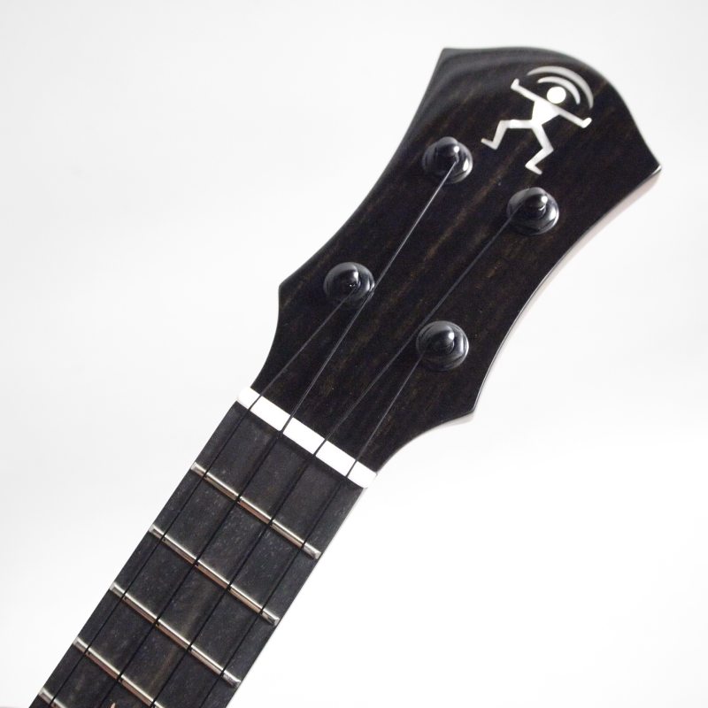 aNueNue aNN-US200 ���ץ�Υ������ҥ��̥��̥���