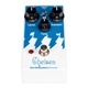 EarthQuaker Devices Chelsea �ե��� �����륷�� �ҥ����������������ǥХ�������