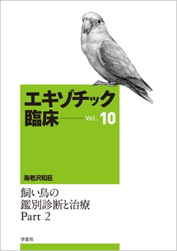 ���������å��׾����꡼����Vol.10������Ļ�δ��̿��Ǥȼ��� Part 2