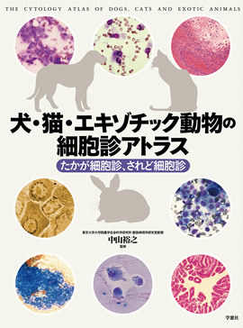 ǭåưʪκ˦ǥȥ饹 ˦ǡɺ˦ǡŻ