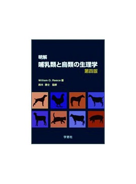 ���� Ӯ�����Ļ��������� �����