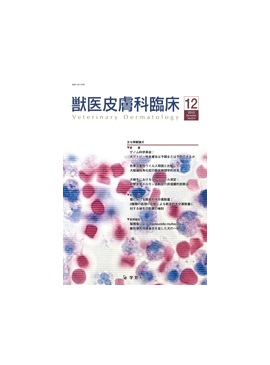 �������� �ð�������׾� 2013ǯ12���Vol.23 No.4