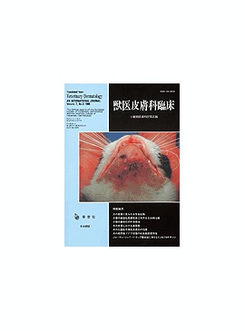 �������� �ð�������׾� 1998ǯ3���Vol.7 No.3