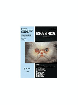 �������� �ð�������׾� 2000ǯ9���Vol.10 No.1