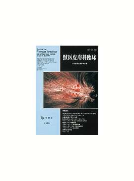 �������� �ð�������׾� 2001ǯ3���Vol.10 No.3