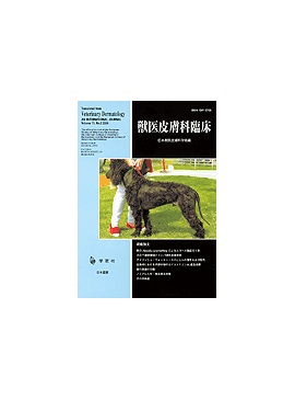 �������� �ð�������׾� 2001ǯ12���Vol.11 No.2