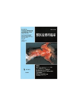 �������� �ð�������׾� 2002ǯ9���Vol.12 No.1