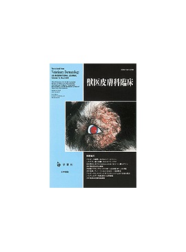 �������� �ð�������׾� 2002ǯ12���Vol.12 No.2