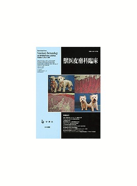  ð׾ 2003ǯ6Vol.12 No.4