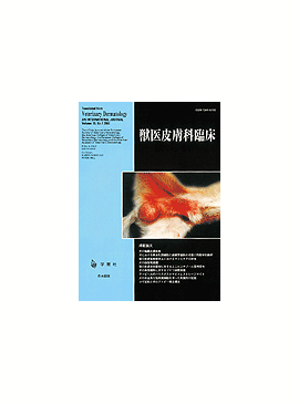 �������� �ð�������׾� 2003ǯ9���Vol.13 No.1