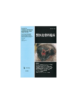 �������� �ð�������׾� 2004ǯ3���Vol.13 No.3