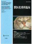 �������� �ð�������׾� 2004ǯ12���Vol.14 No.2